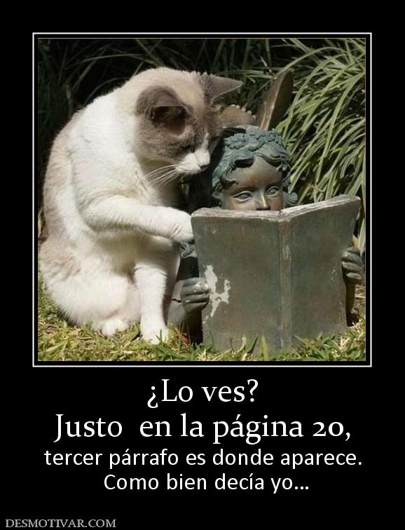 ¿Lo ves? Justo  en la página 20, tercer párrafo es donde aparece.  Como bien decía yo…