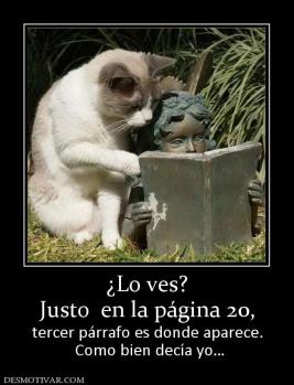 ¿Lo ves? Justo  en la página 20, tercer párrafo es donde aparece.  Como bien decía yo…
