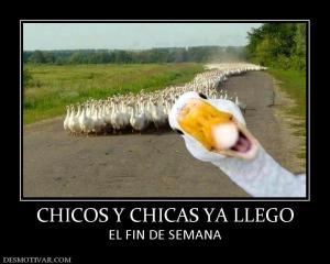CHICOS Y CHICAS YA LLEGO EL FIN DE SEMANA