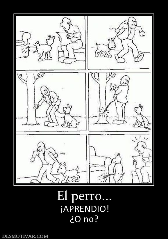 El perro... ¡APRENDIO! ¿O no?