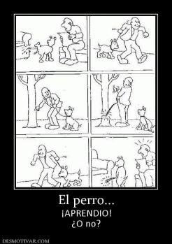 El perro... ¡APRENDIO! ¿O no?