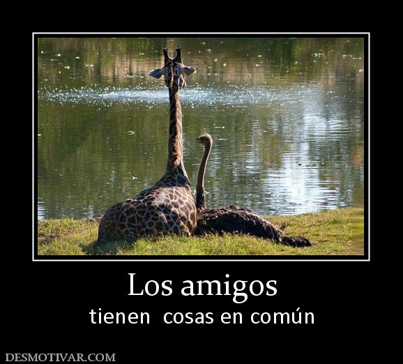 Los amigos tienen  cosas en común