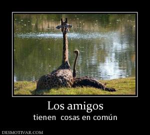 Los amigos tienen  cosas en común