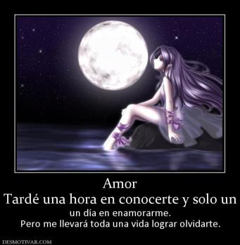 Amor Tardé una hora en conocerte y solo un  un día en enamorarme. Pero me llevará toda una vida lograr olvidarte.