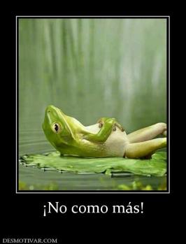 ¡No como más!