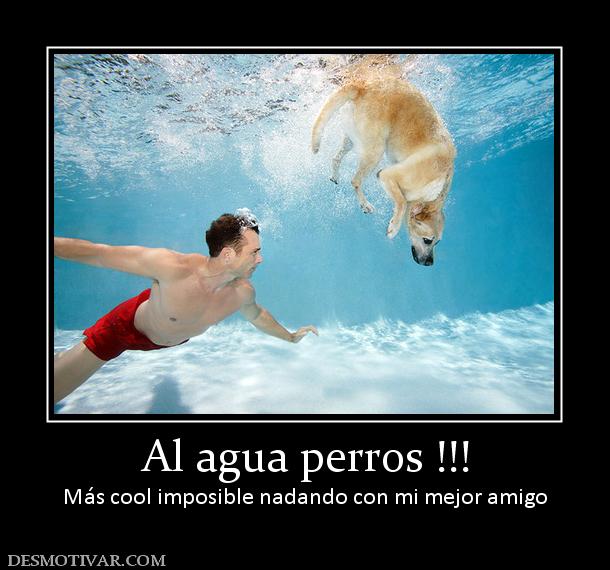 Al agua perros !!! Más cool imposible nadando con mi mejor amigo