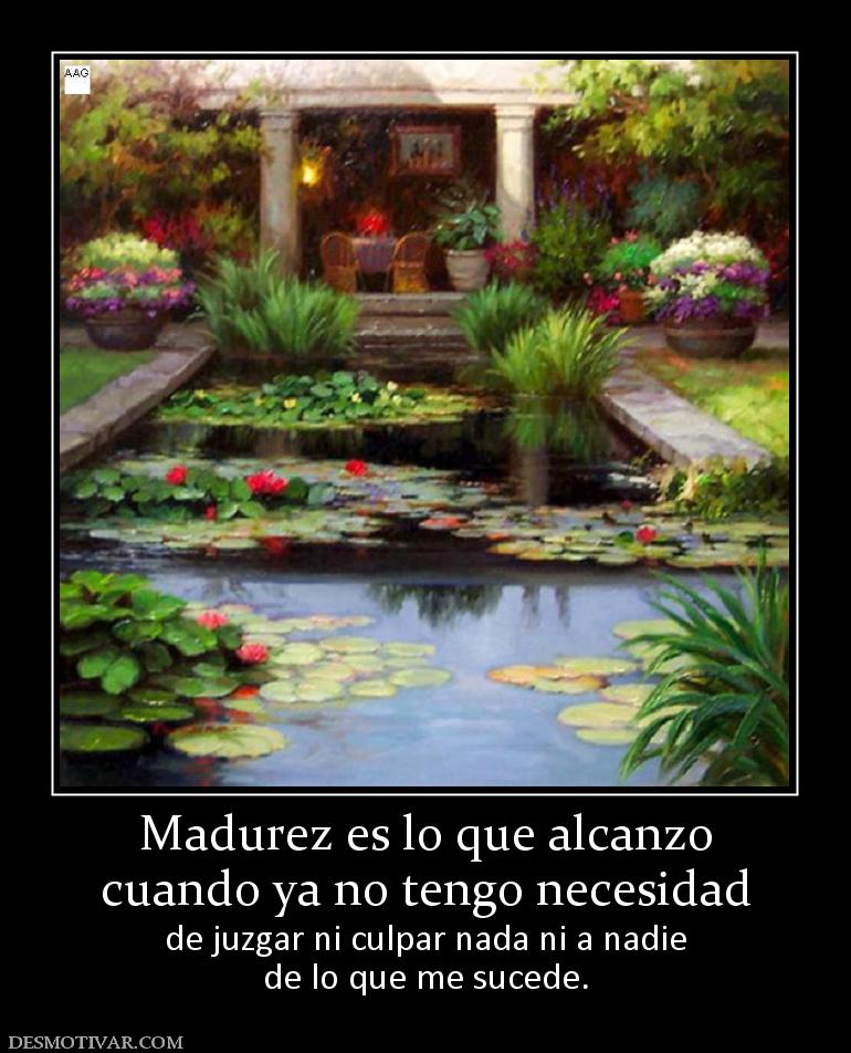 Madurez es lo que alcanzo cuando ya no tengo necesidad  de juzgar ni culpar nada ni a nadie de lo que me sucede.