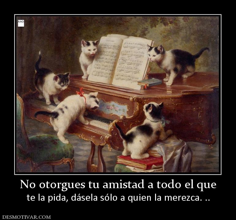 No otorgues tu amistad a todo el que te la pida, dásela sólo a quien la merezca. ..