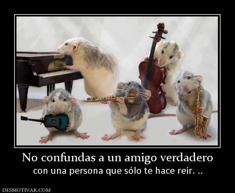 No confundas a un amigo verdadero con una persona que sólo te hace reír. ..