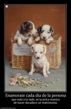 Enamorate cada día de la persona que está a tu lado, es la única manera de hacer duradero un matrimonio.