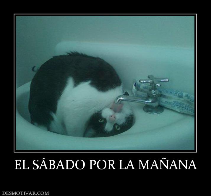 EL SÁBADO POR LA MAÑANA