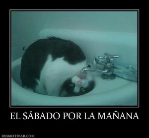 EL SÁBADO POR LA MAÑANA