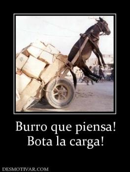 Burro que piensa! Bota la carga!