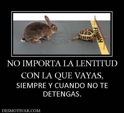 NO IMPORTA LA LENTITUD CON LA QUE VAYAS, SIEMPRE Y CUANDO NO TE DETENGAS.