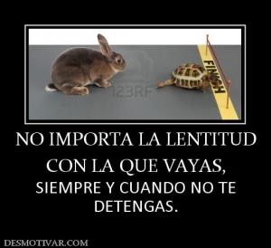 NO IMPORTA LA LENTITUD CON LA QUE VAYAS, SIEMPRE Y CUANDO NO TE DETENGAS.