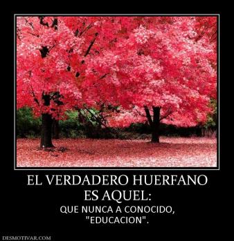 EL VERDADERO HUERFANO ES AQUEL: QUE NUNCA A CONOCIDO,