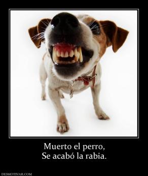 Muerto el perro, Se acabó la rabia.