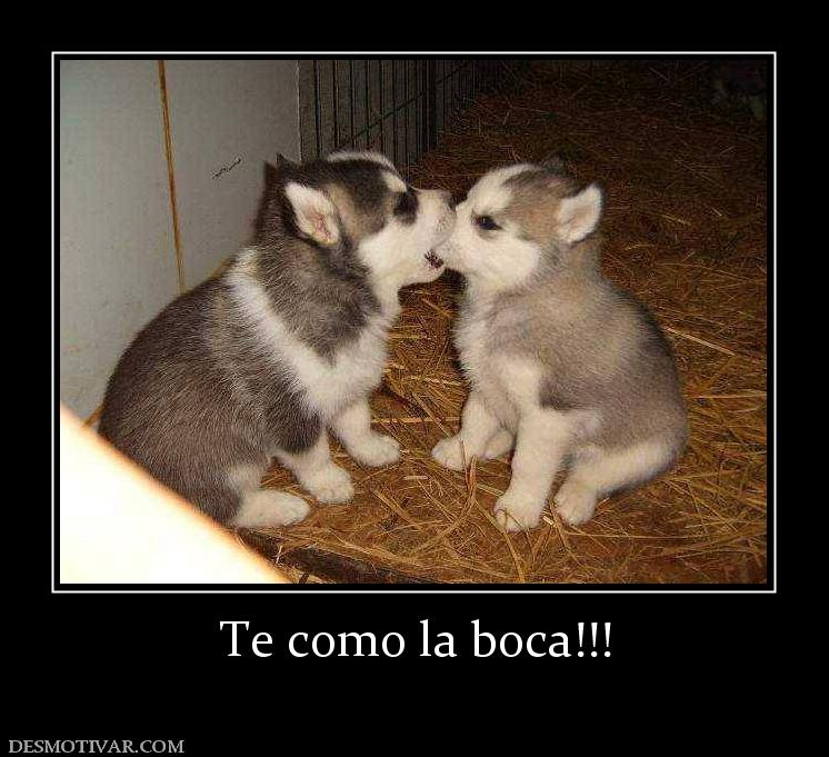 Te como la boca!!!