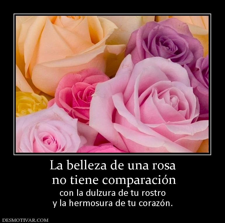 La belleza de una rosa  no tiene comparación con la dulzura de tu rostro y la hermosura de tu corazón.