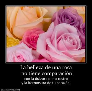 La belleza de una rosa  no tiene comparación con la dulzura de tu rostro y la hermosura de tu corazón.