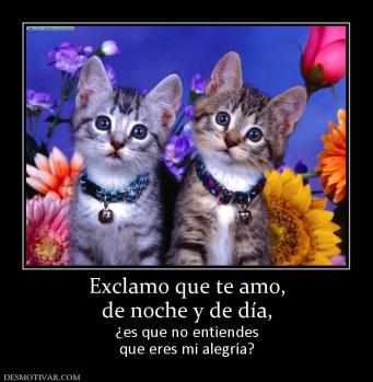 Exclamo que te amo, de noche y de día, ¿es que no entiendes que eres mi alegría?