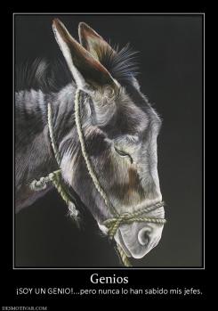 Genios ¡SOY UN GENIO!...pero nunca lo han sabido mis jefes.