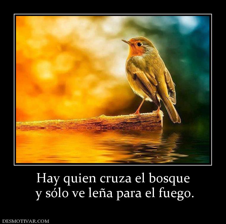 Hay quien cruza el bosque  y sólo ve leña para el fuego.