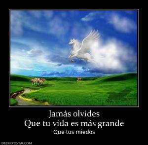 Jamás olvides Que tu vida es más grande  Que tus miedos