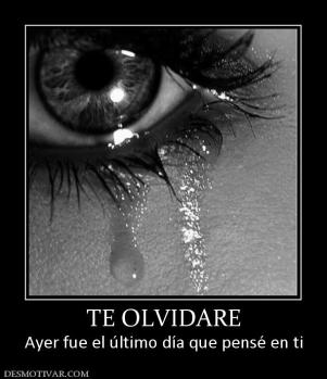 TE OLVIDARE Ayer fue el último día que pensé en ti