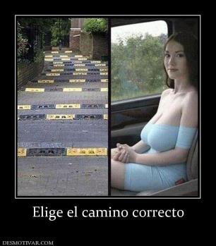 Elige el camino correcto