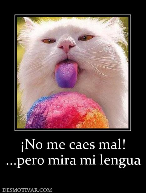 ¡No me caes mal! ...pero mira mi lengua