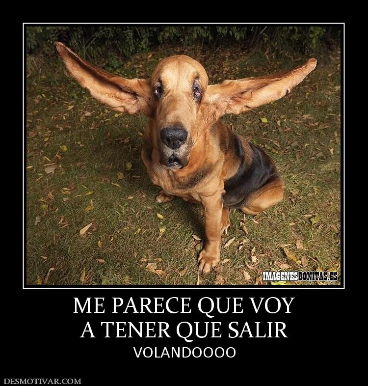 ME PARECE QUE VOY A TENER QUE SALIR  VOLANDOOOO