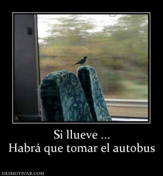 Si llueve ... Habrá que tomar el autobus
