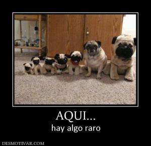 AQUI... hay algo raro