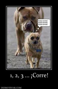 1, 2, 3 ... ¡Corre!