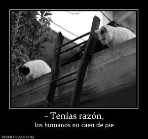 - Tenías razón, los humanos no caen de pie