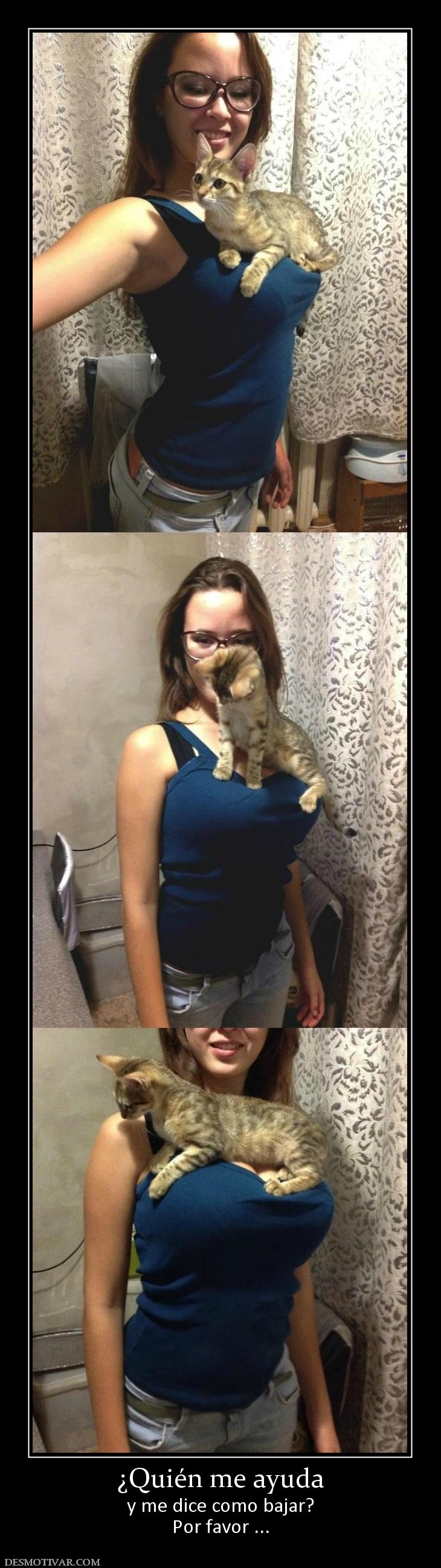 ¿Quién me ayuda y me dice como bajar? Por favor ...