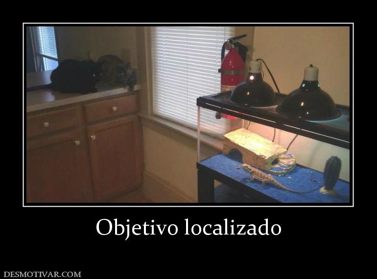 Objetivo localizado