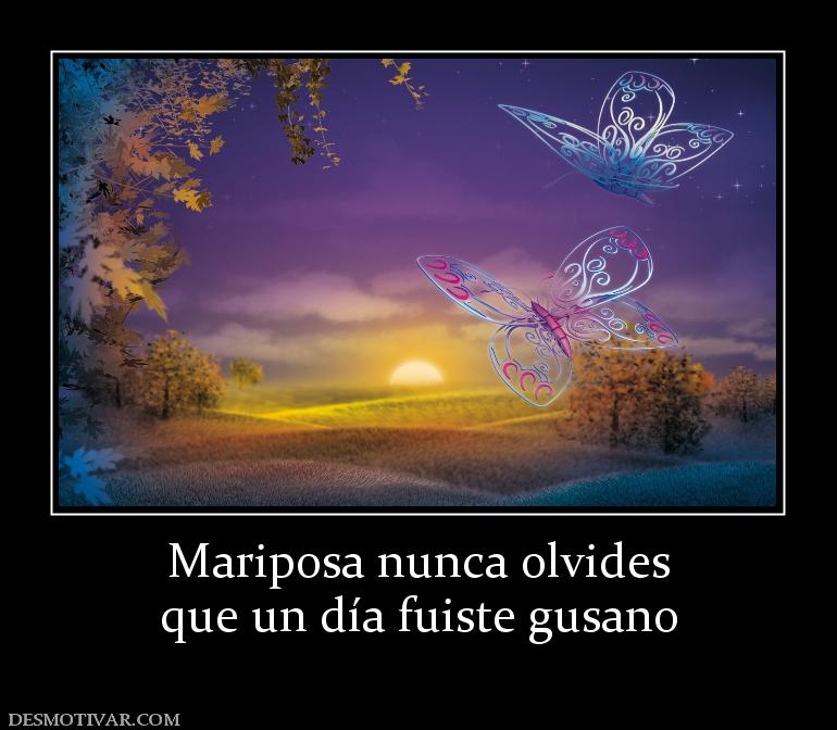 Mariposa nunca olvides que un día fuiste gusano