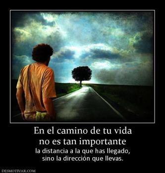 En el camino de tu vida no es tan importante la distancia a la que has llegado, sino la dirección que llevas.