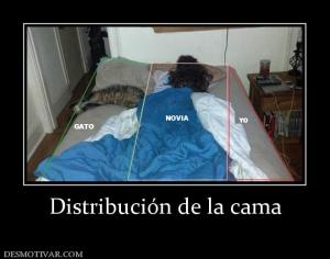 Distribución de la cama