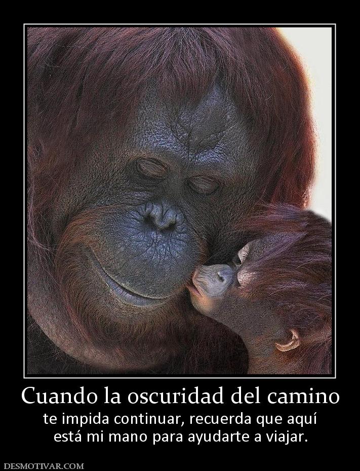 Cuando la oscuridad del camino te impida continuar, recuerda que aquí está mi mano para ayudarte a viajar.