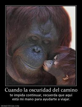 Cuando la oscuridad del camino te impida continuar, recuerda que aquí está mi mano para ayudarte a viajar.