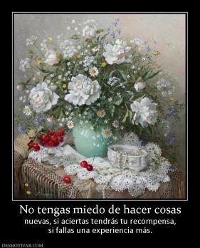 No tengas miedo de hacer cosas nuevas, si aciertas tendrás tu recompensa, si fallas una experiencia más.