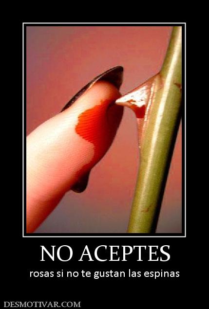 NO ACEPTES rosas si no te gustan las espinas
