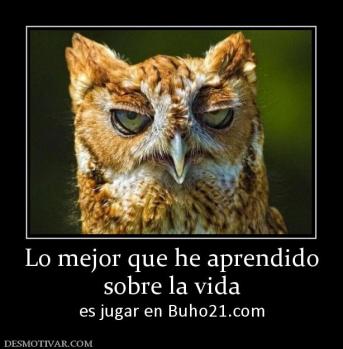 Lo mejor que he aprendido sobre la vida es jugar en Buho21.com