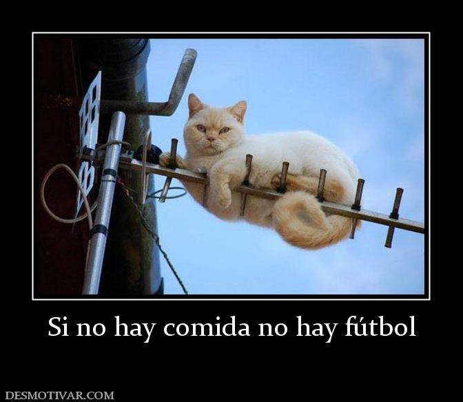 Si no hay comida no hay fútbol