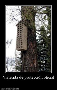 Vivienda de protección oficial