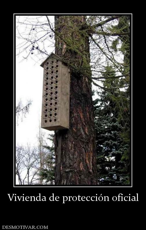 Vivienda de protección oficial