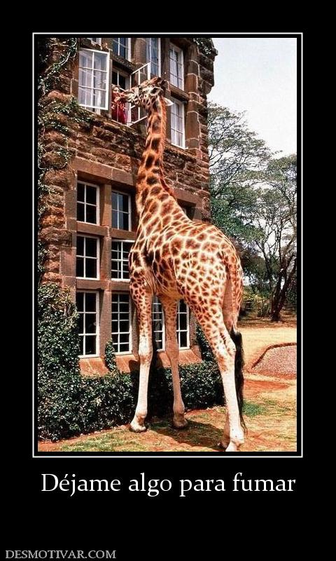 Déjame algo para fumar